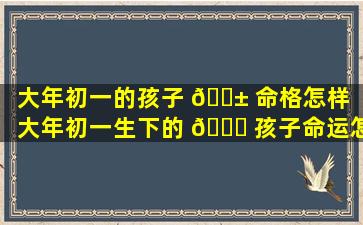 大年初一的孩子 🐱 命格怎样「大年初一生下的 🍁 孩子命运怎么样」